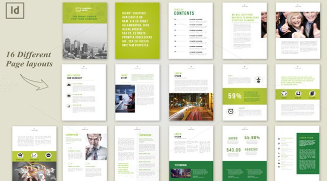 10 Professional Accounting Brochures Templates For Companies