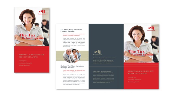 10 Professional Accounting Brochures Templates For Companies
