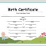 12 Best Reborn Dolls Images On Pinterest In 2018 Printable Birth Certificate Template Free