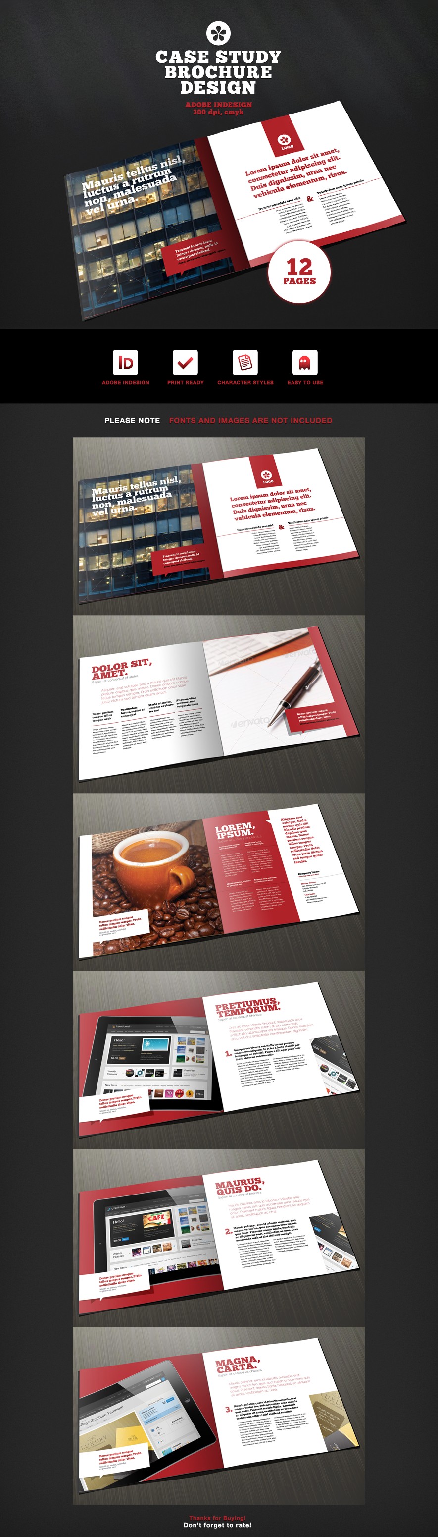 12 Page Case Study Brochure Template By Ramijames On
