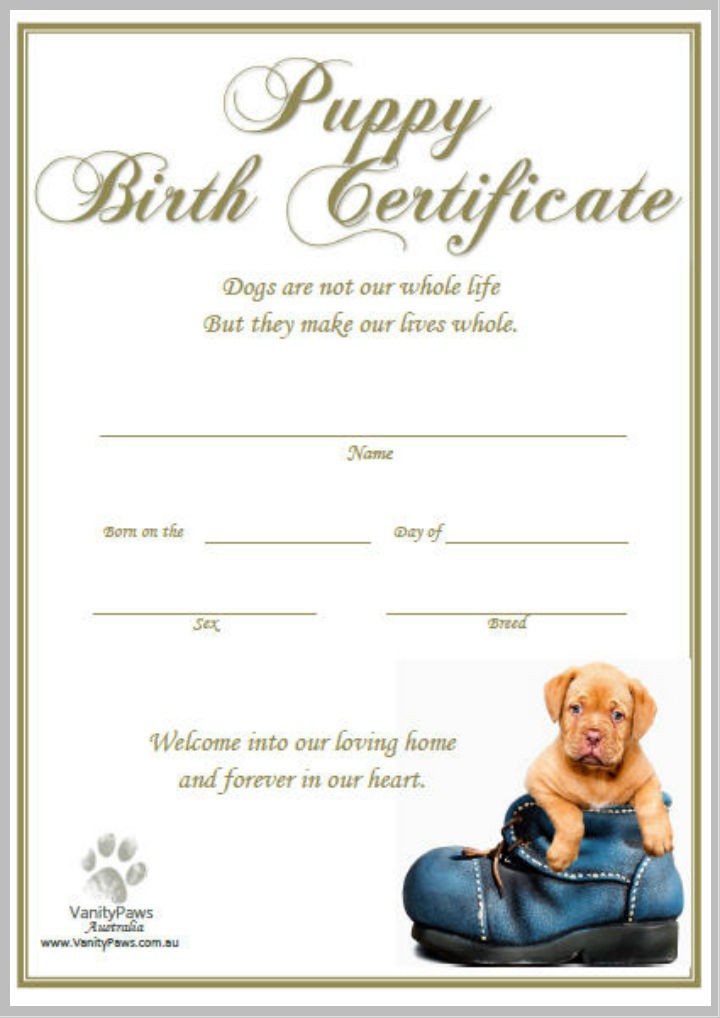 12 Pet Birth Certificate Designs Templates PDF PSD AI Free Dog Template