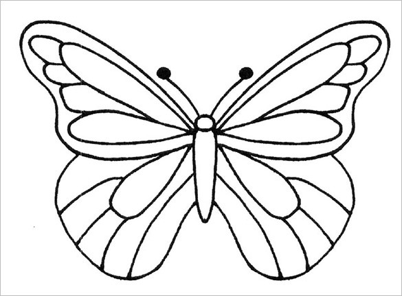 12 PSD Paper Butterfly Templates Amp Designs Free Premium Download