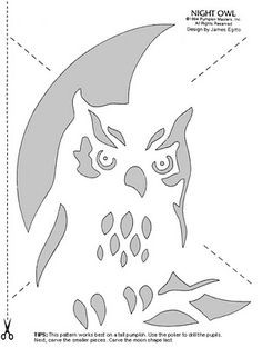 15 Best Owl Stencil Images On Pinterest Patterns Embroidery Free Printable Pumpkin Stencils