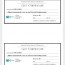 155 Gift Certificate Templates Free Sample Example Format Fitness Template