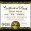 28 Images Of Martial Arts Certificate Achievement Template Karate