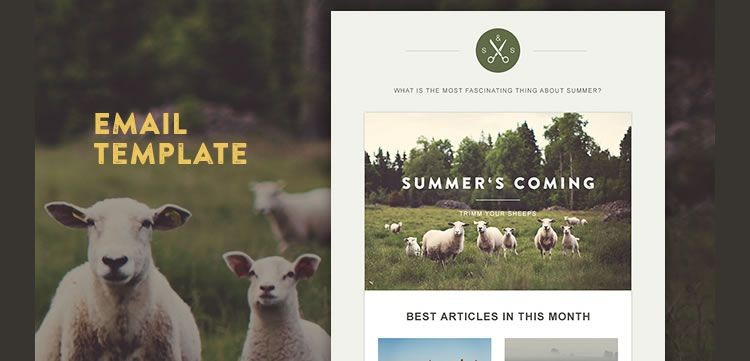 30 Free Responsive Email And Newsletter Templates Best Mailchimp