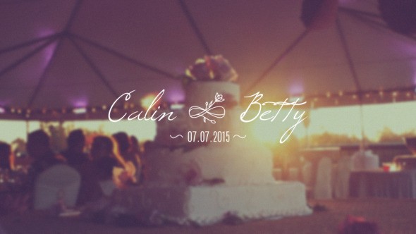 30 Wedding Titles By Chernu VideoHive Title Ideas