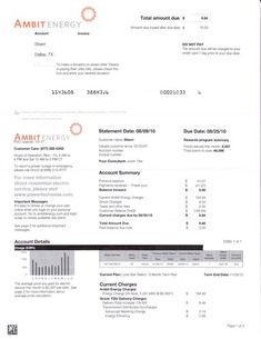 338 Best Fake Documents Images On Pinterest In 2018 Bank Statement Utility Bill Template