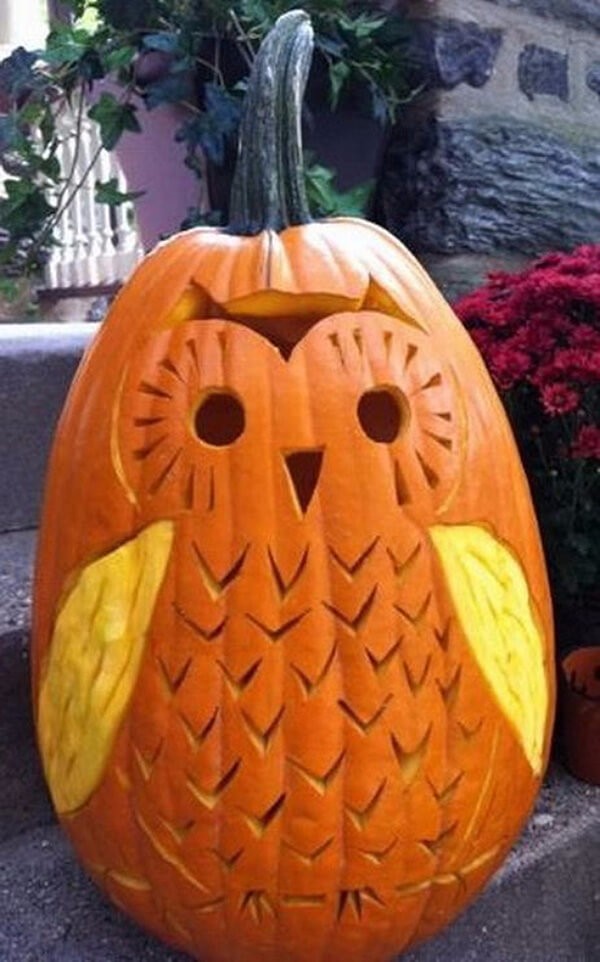 53 Best Pumpkin Carving Ideas And Designs For 2018