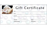 6 Free Printable Gift Certificate Templates For MS Publisher Microsoft Download