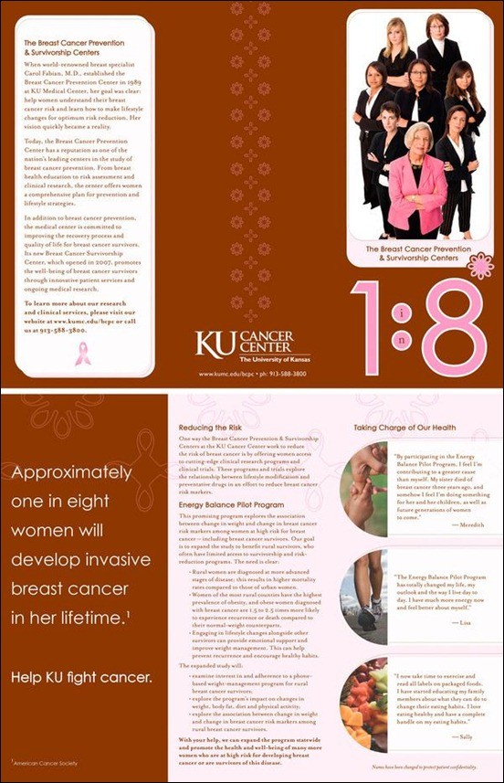 60 Beautiful Tri Fold Brochure Designs And Premium Breast Cancer Examples