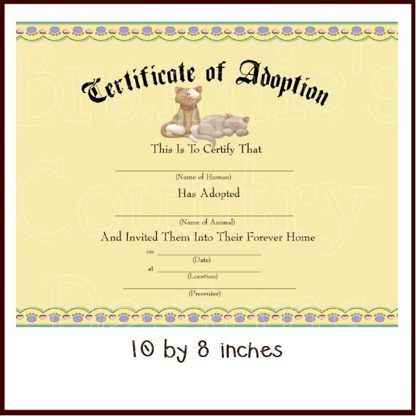 60 Best Mia Birthday Party Images On Pinterest Animal Stuffed Adoption Certificate Template Free