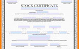 7 Free Stock Certificate Templates Microsoft Word Marlows Jewellers Template