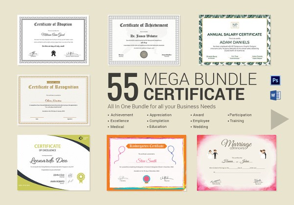 82 Free Printable Certificate Template Examples In PDF Word Paper