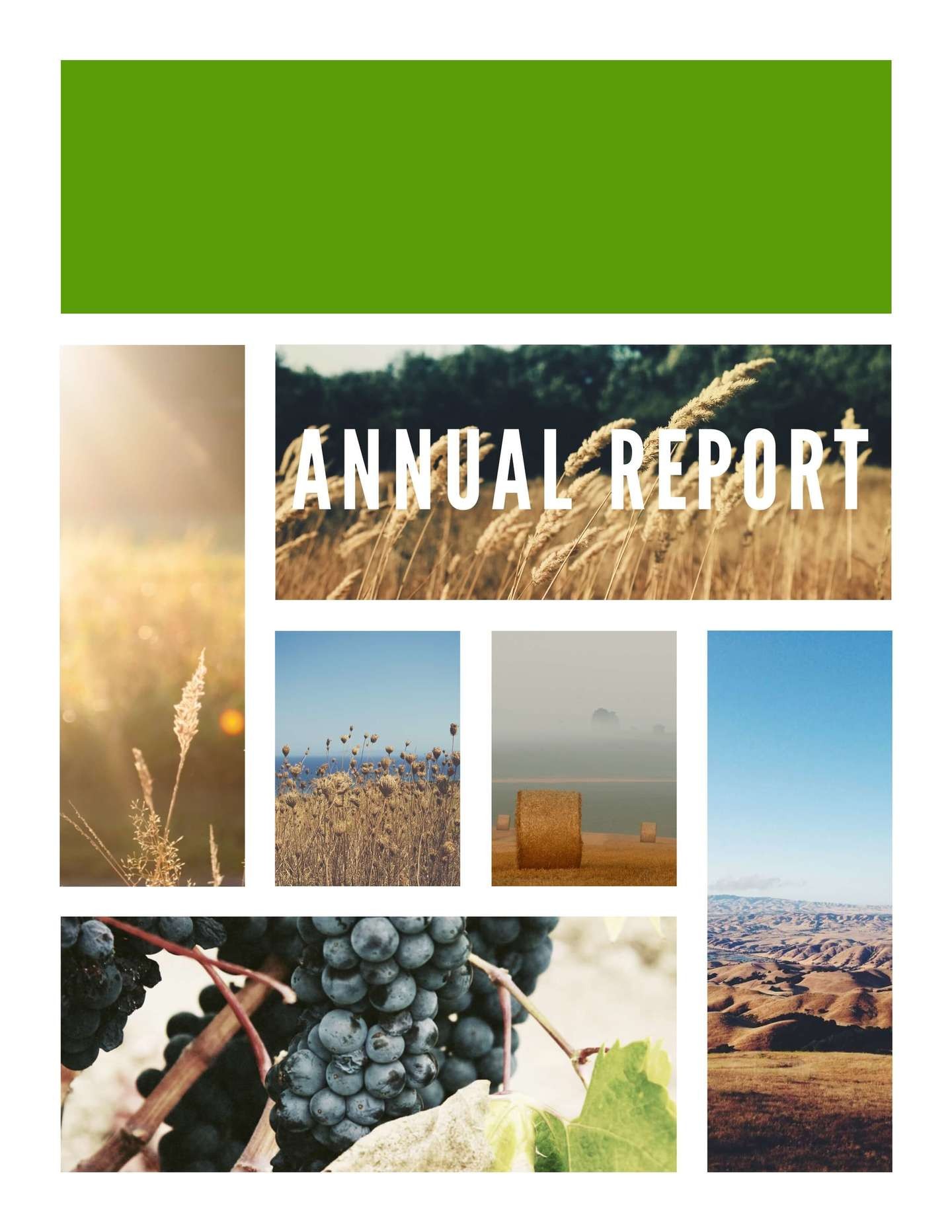 9 Free Report Templates Examples Lucidpress