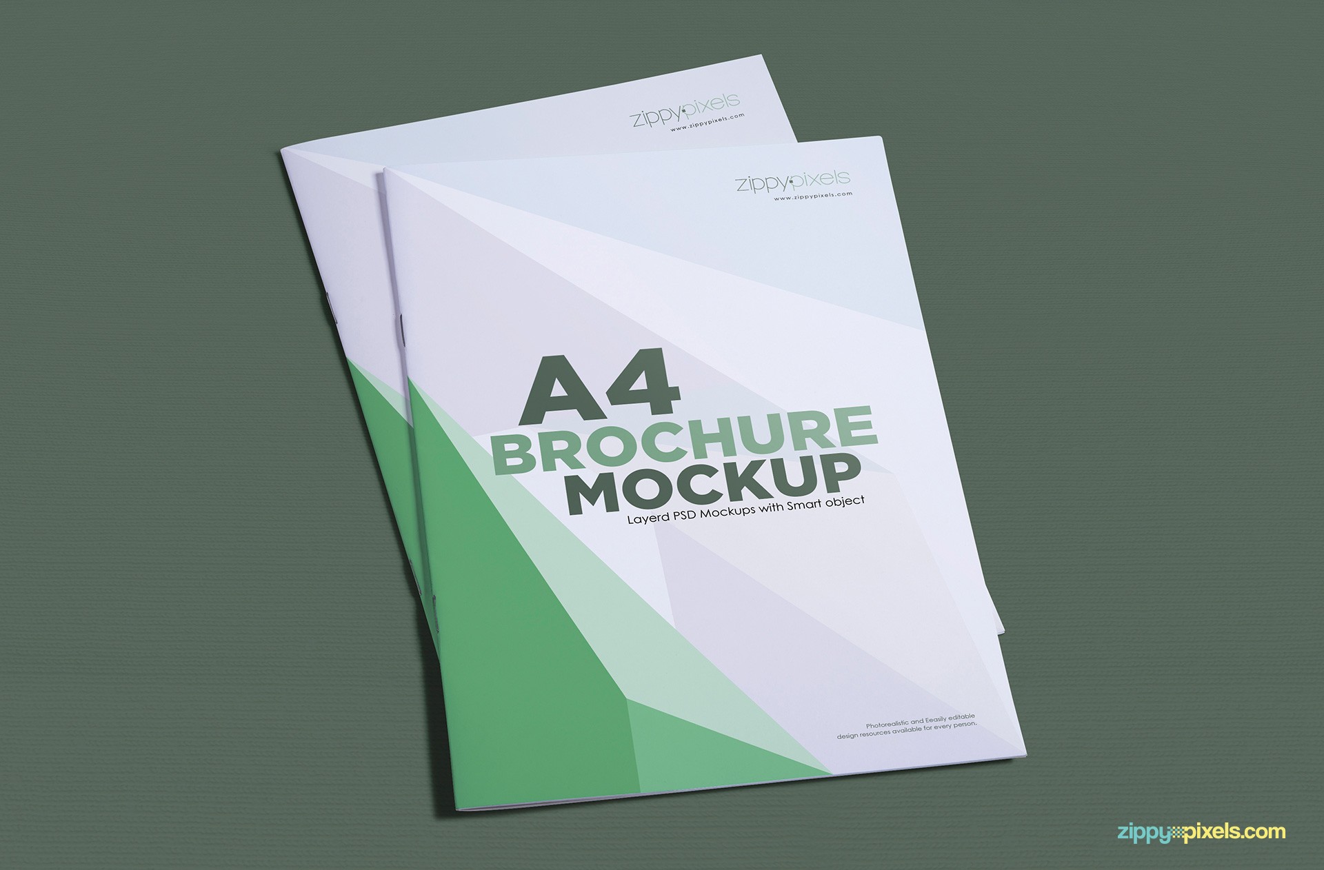 A4 Brochure Template Psd Free Download Templates Size