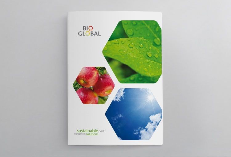Agriculture Brochure Design Graphic