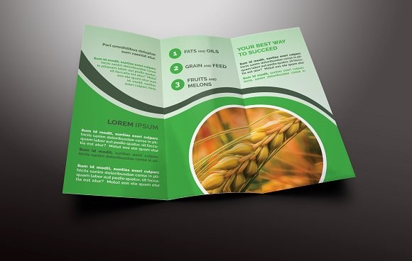 Agriculture Tri Fold Brochures Templates Creative Market Brochure Design