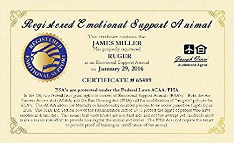 Amazon Com Working Service Dog Brand Official Emotional Support Animal Certificate Template