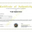 Art Certificate Of Authenticity Template Microsoft Word Elegant Best