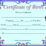 Baby Birth Certificate Template Format Download Pdf Free Templates Blank Images