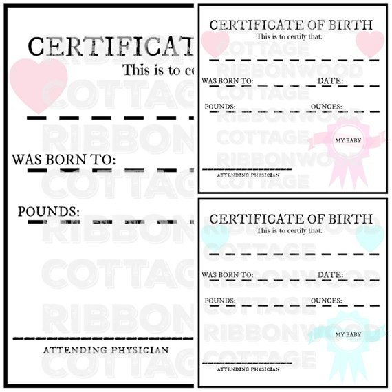 BABY Doll Printable Birth Certificates Pink And Blue Etsy Certificate For Baby Dolls