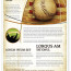 Baseball Flyer Template Free Erkal Jonathandedecker Com Brochure