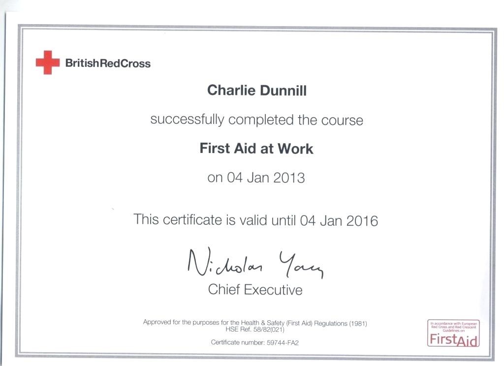 Basic First Aid Certificate Template Training Word