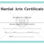Best Martial Arts Certificate Templates For Free Download Now Art Template