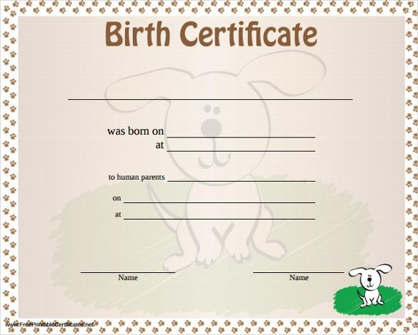 Birth Certificate Template 31 Free Word PDF PSD Format Download