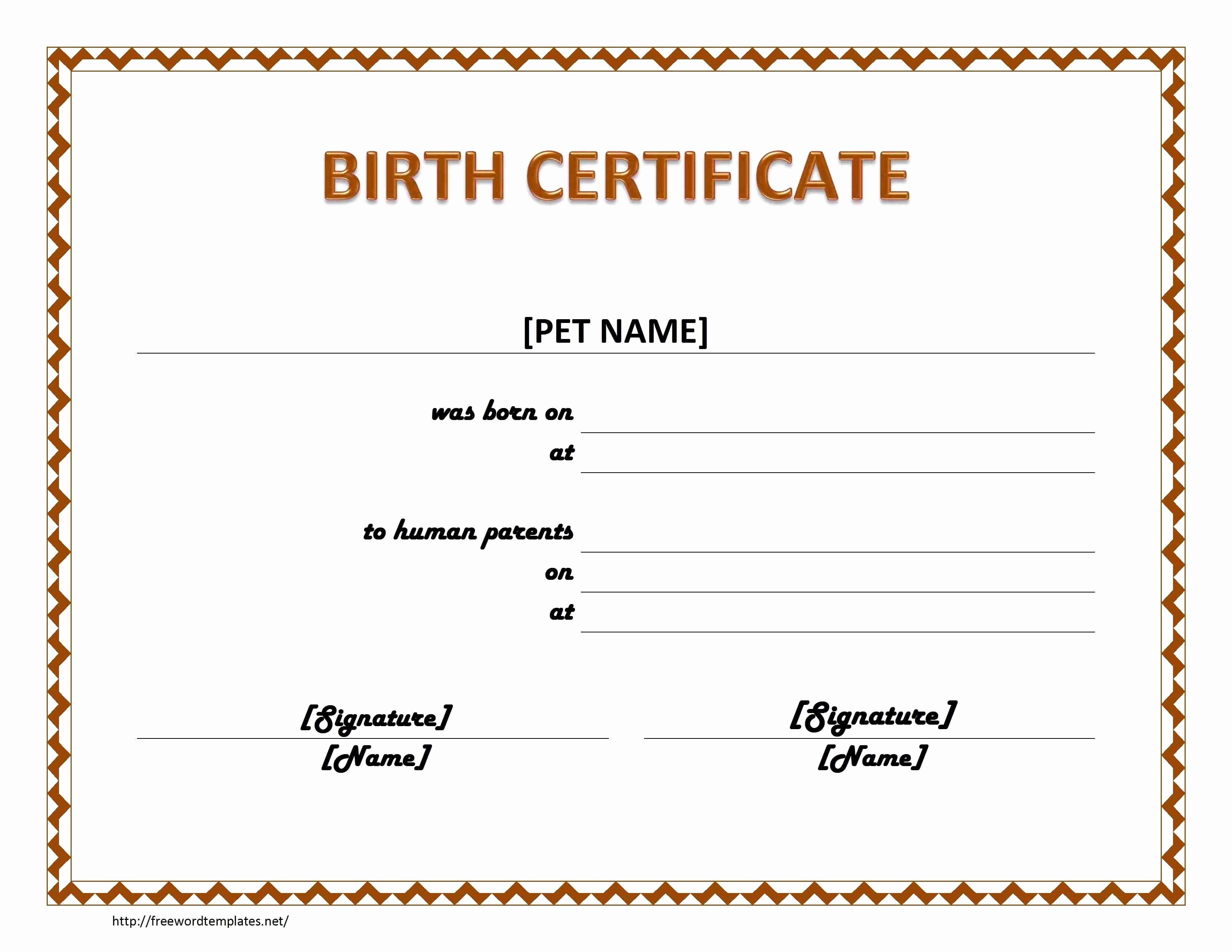 Birth Certificate Template Build A Bear