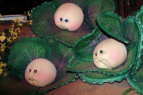 Birth Of Cabbage Patch Kids 4200 Views Known The World Ov Flickr