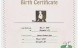 Blank Adoption Certificate Template Inspirational Of Dog Birth