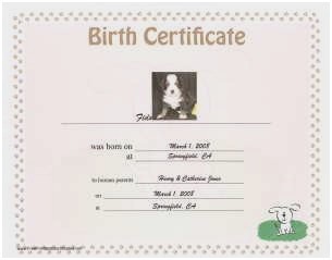 Blank Adoption Certificate Template Inspirational Of Dog