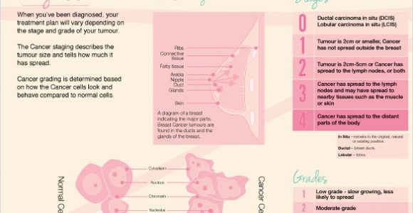 Breast Cancer Brochure Template Free Tadlifecare