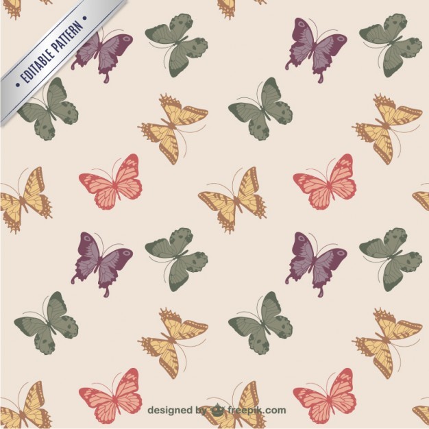 Butterfly Pattern Vector Free Download
