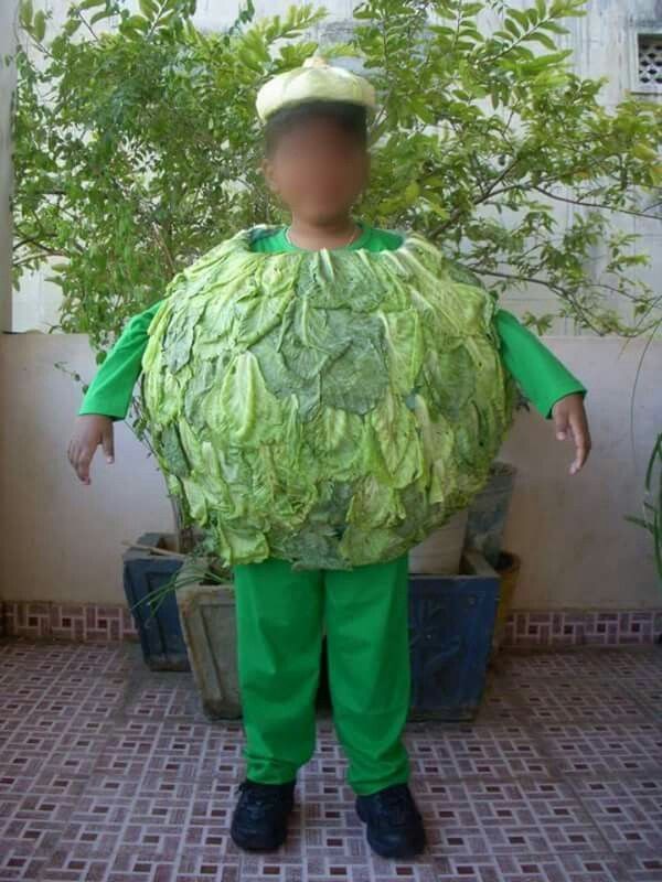 Cabbage Fancy Dress Pinterest And Costume