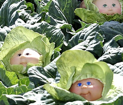 Cabbage Patch Kid A Simple Kind Of Life