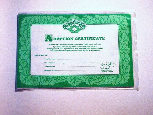 Cabbage Patch Kids Adoption Certificate DIY Pinterest Kid Birth Template