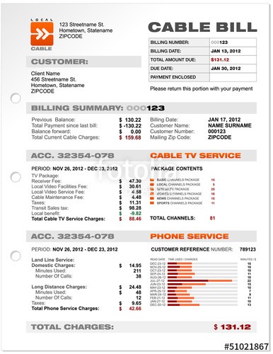 Cable Service Phone Bill Document Sample Template Vector Stock