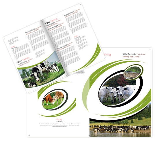 Cattle And Poultry Farming Brochure Templates Agriculture