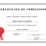 Certificate Of Attendance Template Word Ukran Agdiffusion Com Blank
