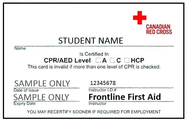 Certification Card Provider Free Template Cpr Pdf Leadgo Pro First Aid Certificate Word