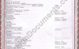 Certified Spanish Translation Mexican Birth Certificate How To Translate A English