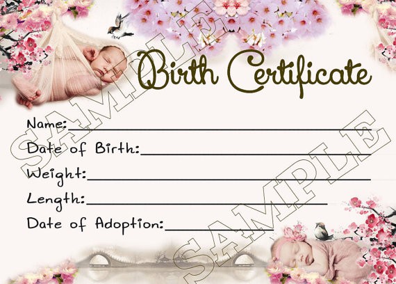 CHERRY BLOSSOMS Reborn Baby Doll Birth Certificate Instant Download