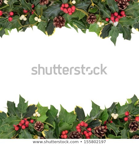 Christmas Floral Background Border Holly Ivy Stock Photo Edit Now