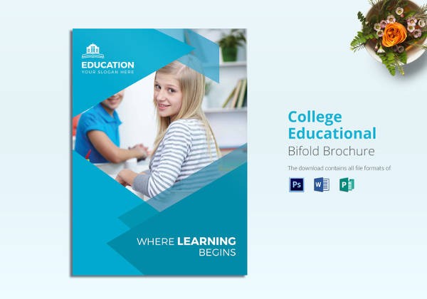 College Placement Brochure Templates Free Download