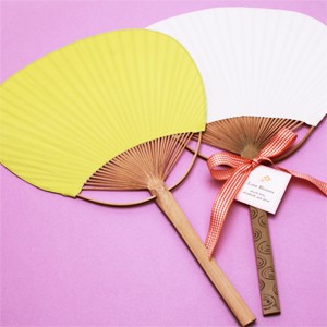 Color Paddle Fan Set Of 10 Palm And Bamboo Hand Fans