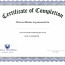 Corporate Bond Certificate Template Awesome Image Result For