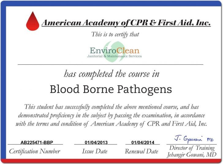 Cpr Certification Online Free Luxury First Aid Training Certificate Template